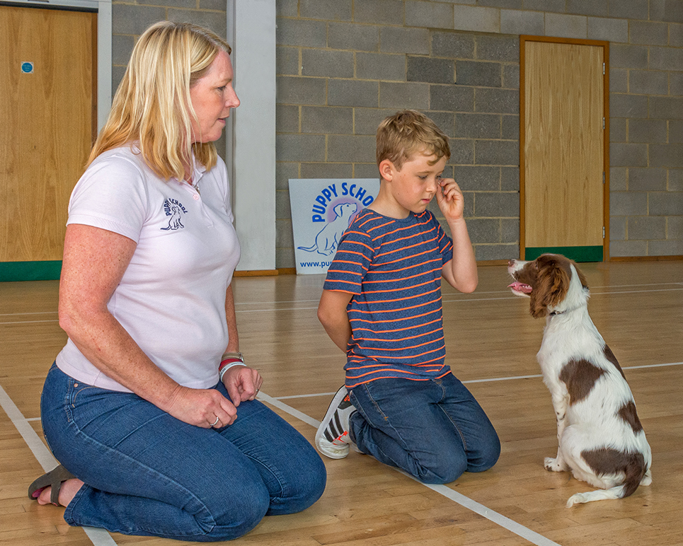 Puppy School tutor coaching young boy to train his Spaniel puppy to give eye contact