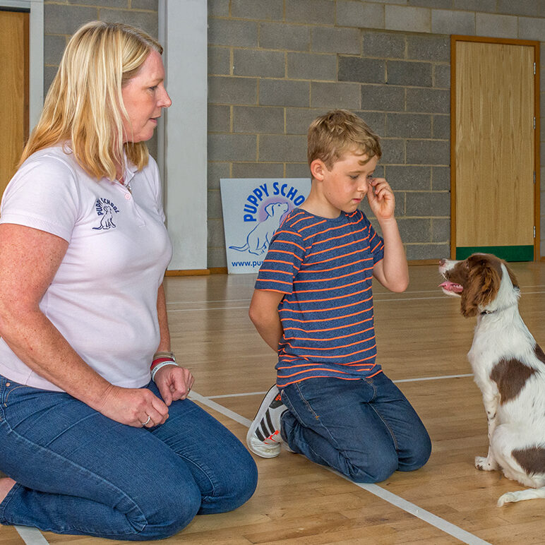 Puppy School tutor coaching young boy to train his Spaniel puppy to give eye contact